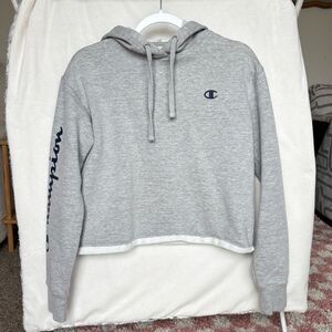 Gray Cropped Champion Hoodie Size Small